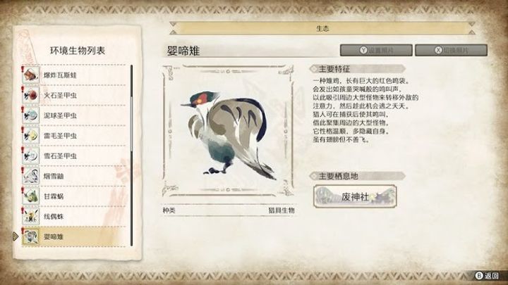 【魔物獵人 崛起】BUFF 加成彙整! 環境生物篇